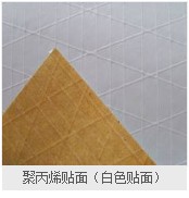 聚丙烯白色貼面